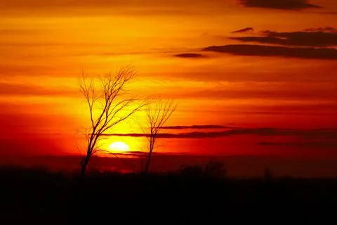 Sun setting between two trees silhouettes with deep red cloudscape behind Stock Photos