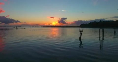Sun setting with birds over the water Stock Footage 67647427
