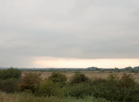 Sun setting in the distance over a field and trees greenery Stock Photos
