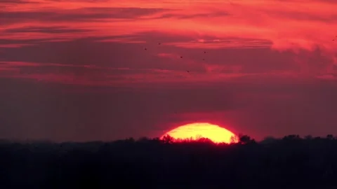 Sun Setting on a Fall Day at a Marsh. Stock-Footage 277171399