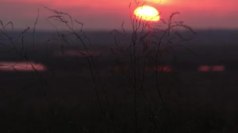 Sun Setting on a Fall Day at a Marsh. Stock-Footage 277171481