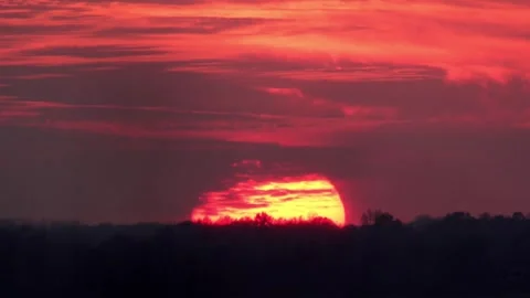 Sun Setting on a Fall Day at a Marsh with Birds Flying Past. Stock-Footage 277171505