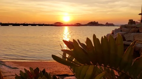 The sun is setting on the horizon. Stockbeeldmateriaal 297639814