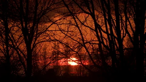 Sun setting on the horizon, sunset through trees Stock Footage 150398765
