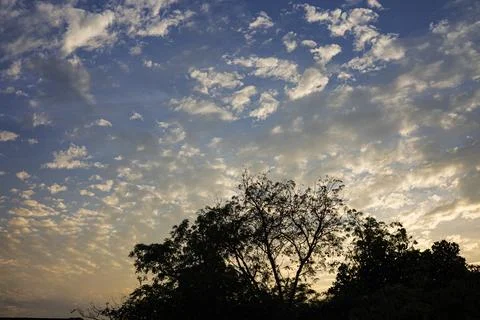 Sun Is Setting, Light Is Filtering Through The Trees 스톡 사진