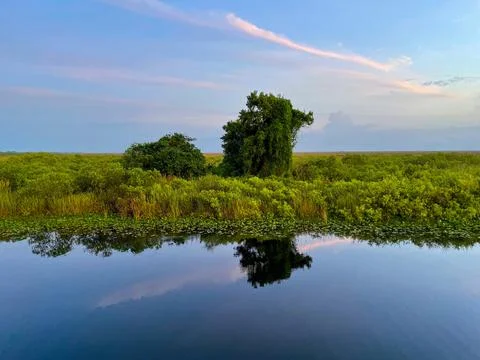 Sun setting in the marsh of the bayou Stock Photos