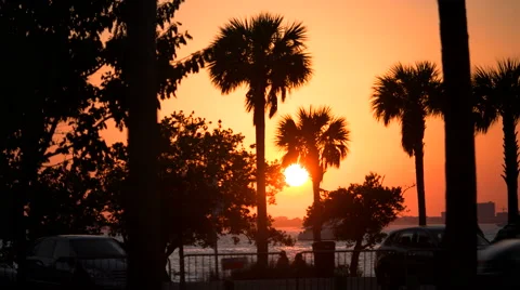 Sun setting in Miami Stock Footage 62571098