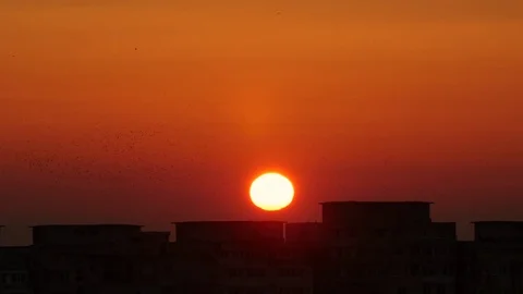Sun Setting Over A City With Birds Flying Over It Stock-Footage 85344970