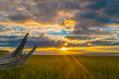 The sun setting over Cook Inlet on a summers night as seen from Earthquake Park Fotos de archivo