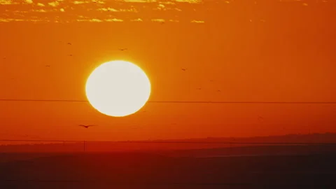 Sun setting over fields with birds flying into horizon Stock Footage 274657260