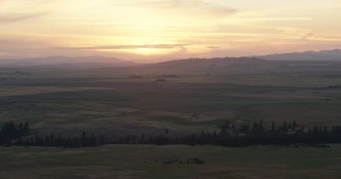 Sun setting over green lands, helicopter aerial, drone Stock Footage 115344275