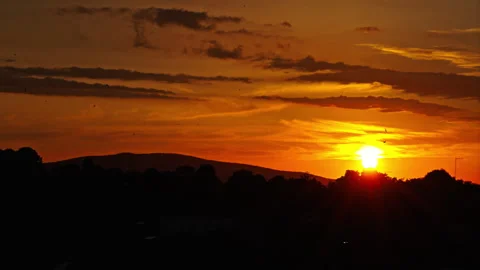 Sun Setting Over Hills with Birds in Flight and Streaked Orange Clouds Vidéo 256339215