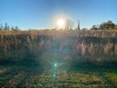 The Sun Setting Over a Large Field of Crops on a Clear Blue Sky Stock Photos