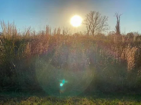 The Sun Setting Over a Large Field of Crops on a Clear Blue Sky Stock Photos