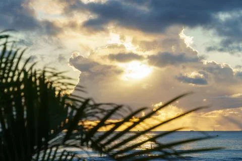 Sun setting over the ocean with palm tree in foreground Stock Photos