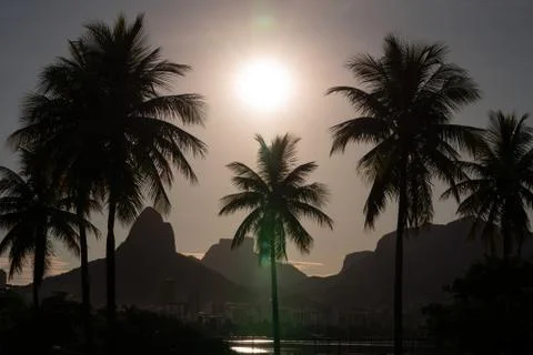 Sun setting over palm trees near Lagoa and Dois Irmaos in Rio de Janeiro Stock-Fotos