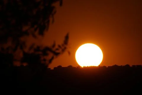 The sun setting over the plains behind a branch in El Cañaveral, Madrid Stock Photos