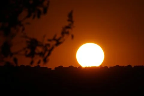 The sun setting over the plains behind a branch in El Cañaveral, Madrid Stock Photos