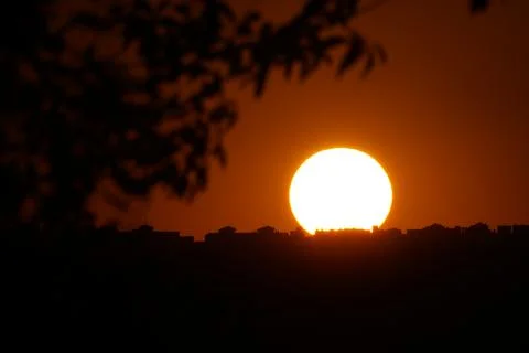 The sun setting over the plains behind a branch in El Cañaveral, Madrid Stock Photos