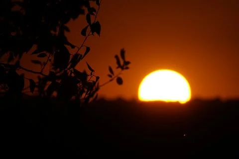 The sun setting over the plains behind a branch in El Cañaveral, Madrid Stock Photos