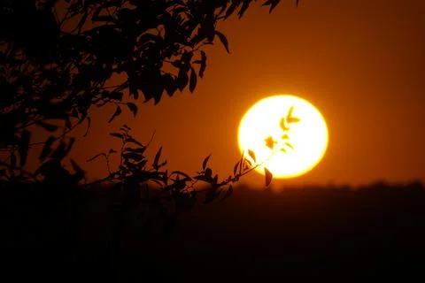 The sun setting over the plains behind a branch in El Cañaveral, Madrid Stock Photos