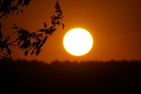 The sun setting over the plains behind a branch in El Cañaveral, Madrid Stock Photos