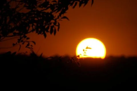 The sun setting over the plains behind a branch in El Cañaveral, Madrid Stock Photos