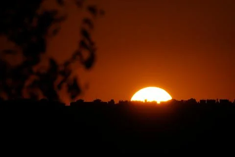 The sun setting over the plains behind a branch in El Cañaveral, Madrid Stock Photos