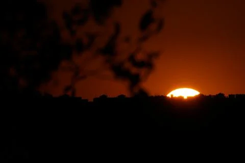 The sun setting over the plains behind a branch in El Cañaveral, Madrid Stock Photos