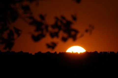 The sun setting over the plains behind a branch in El Cañaveral, Madrid Stock Photos