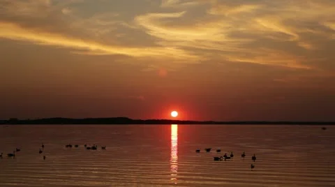 Sun Setting Over Rippling Lake with Geese Stock Footage 12211884