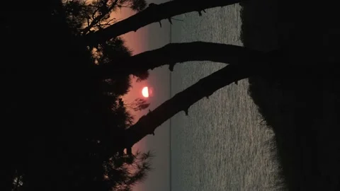 Sun setting over the sea. Video stock 198848641