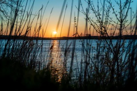 Sun Setting Over A Small Lake Through Weeds Фото