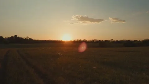 The sun is setting over a vast field of golden wheat under the colorful sky Stock Footage 301697406