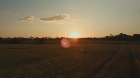 The sun is setting over a vast field of golden wheat under the colorful sky Stock Footage 302452326