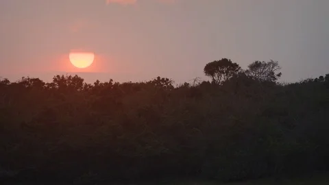 Sun Setting over the Wilderness at Yala National Park. 4k footage 2160p 스톡 동영상 82403570