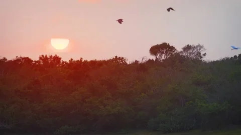 Sun Setting over the Wilderness at Yala National Park Stockbeeldmateriaal 151278917