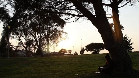 Sun setting as person draws in park Stock Footage 101873559