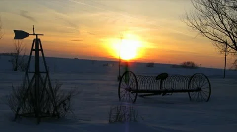 Sun setting with planter full HD Stock Footage 20537604