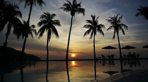 Sun setting reflected in pool water under the palm trees in a tropical resort Stock Footage 60259827