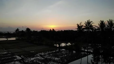Sun Setting in the Rice Fields - Bali, Indonesia Stock Footage 152864895