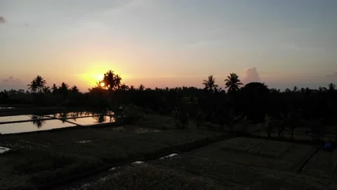 Sun Setting in the Rice Fields - Bali, Indonesia Stock Footage 152865854
