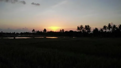 Sun Setting in the Rice Fields - Bali, Indonesia Stock Footage 152867018