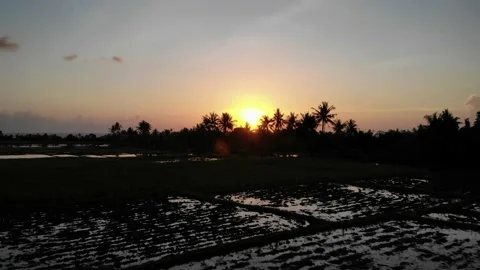 Sun Setting in the Rice Fields - Bali, Indonesia Stock Footage 152867769