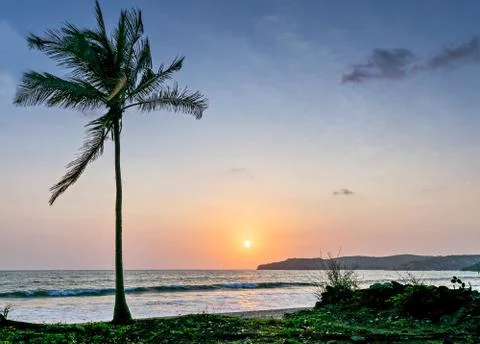 Sun setting in the sea with a coconut tree on the shore. Stock Photos