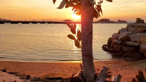 The sun is setting on the sea. Stock-Footage 297639856