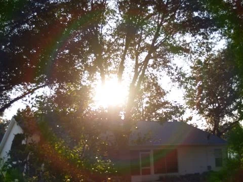 Sun setting thru trees Stock Photos