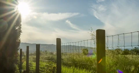 Sun Setting Time Lapse on Winters California Farm Stock Footage 65460977