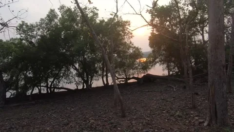 The sun setting with a vibrant red color at Tadoba national park Stock Footage 274140065