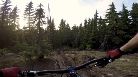 Sun Setting While Man Mountain Bikes Through Lush Green Forest Video stock 78076736